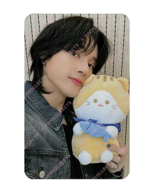 Wooyoung Soundwave 4.1 Cat Friend ver. fansign benefit Golden Hour part 2 ATEEZ