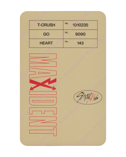 Changbin album incl. Case ver. Maxident Stray Kids