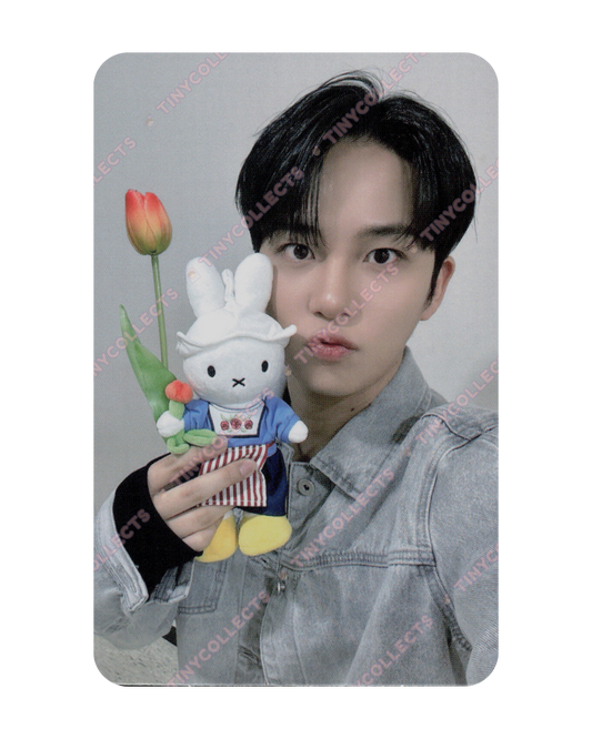Jongho Fromm Lucky Draw 1.0 Miffy with Tulip ver. Golden Hour part 4 ATEEZ