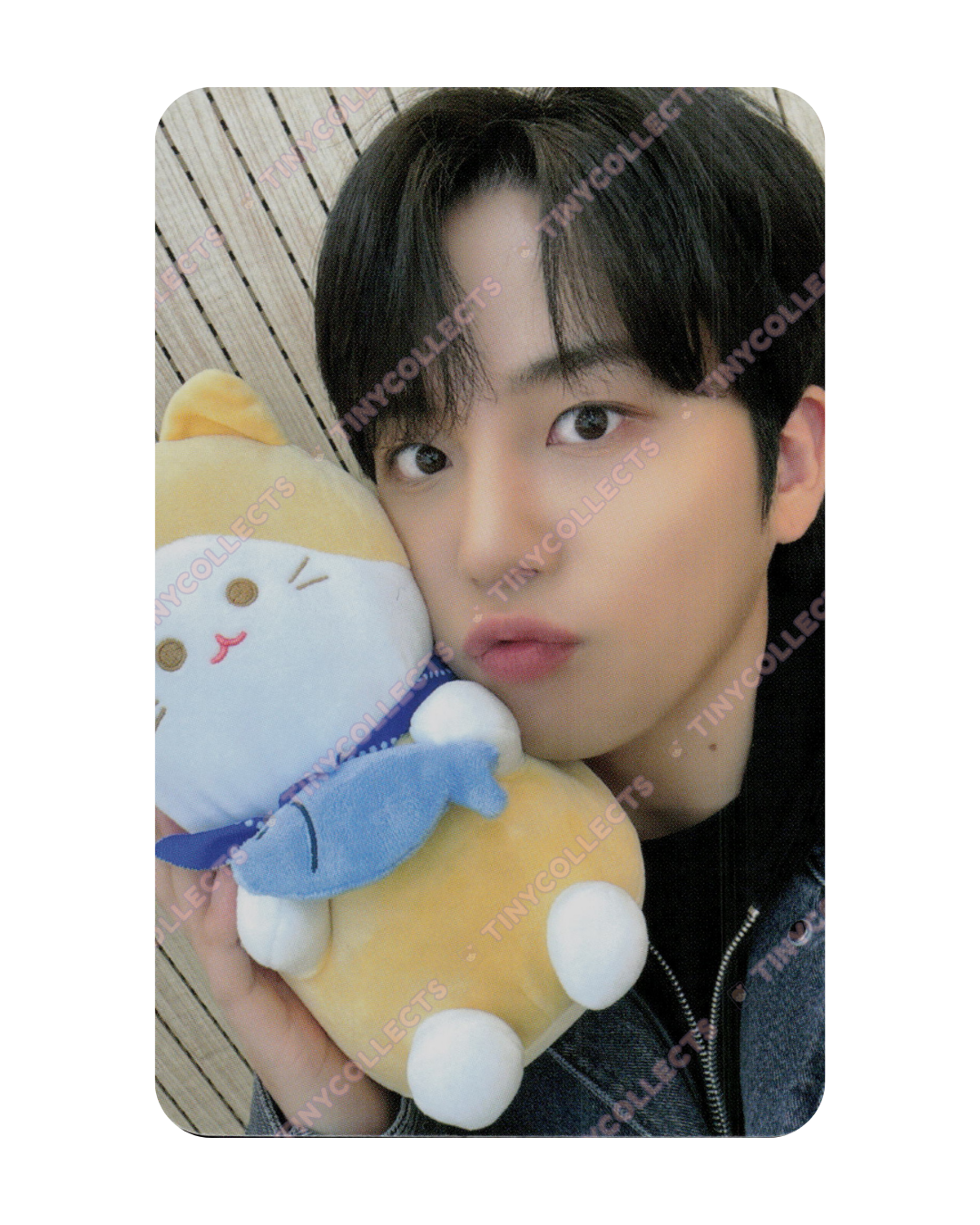 Jongho Soundwave 4.1 Cat Friend ver. fansign benefit Golden Hour part 2 ATEEZ
