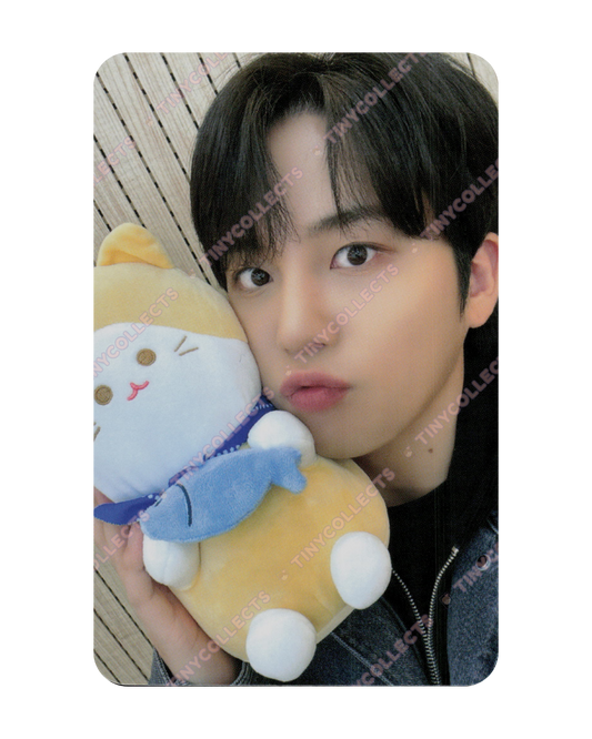 Jongho Soundwave 4.1 Cat Friend ver. fansign benefit Golden Hour part 2 ATEEZ