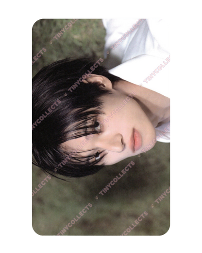Wooyoung A ver. Image poca incl. Golden Hour part 4 ATEEZ