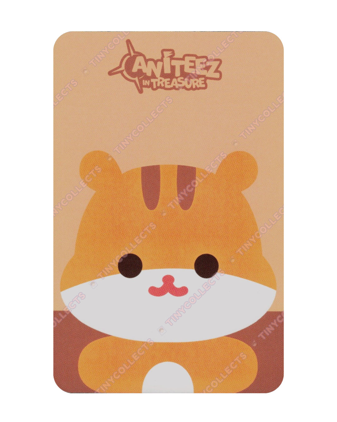 Hongjoong Flat Fur Doll incl. Aniteez in Treasure ATEEZ