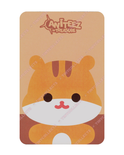 Hongjoong Flat Fur Doll incl. Aniteez in Treasure ATEEZ