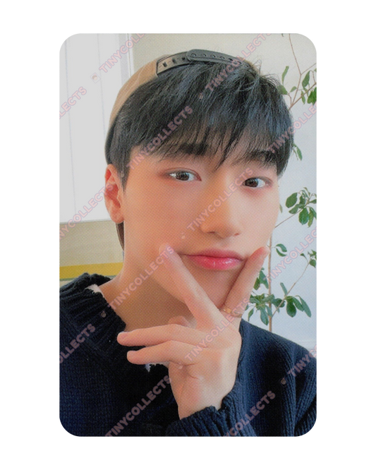 San Trading Card 2 Atiny Room 4th Anniversary ATEEZ