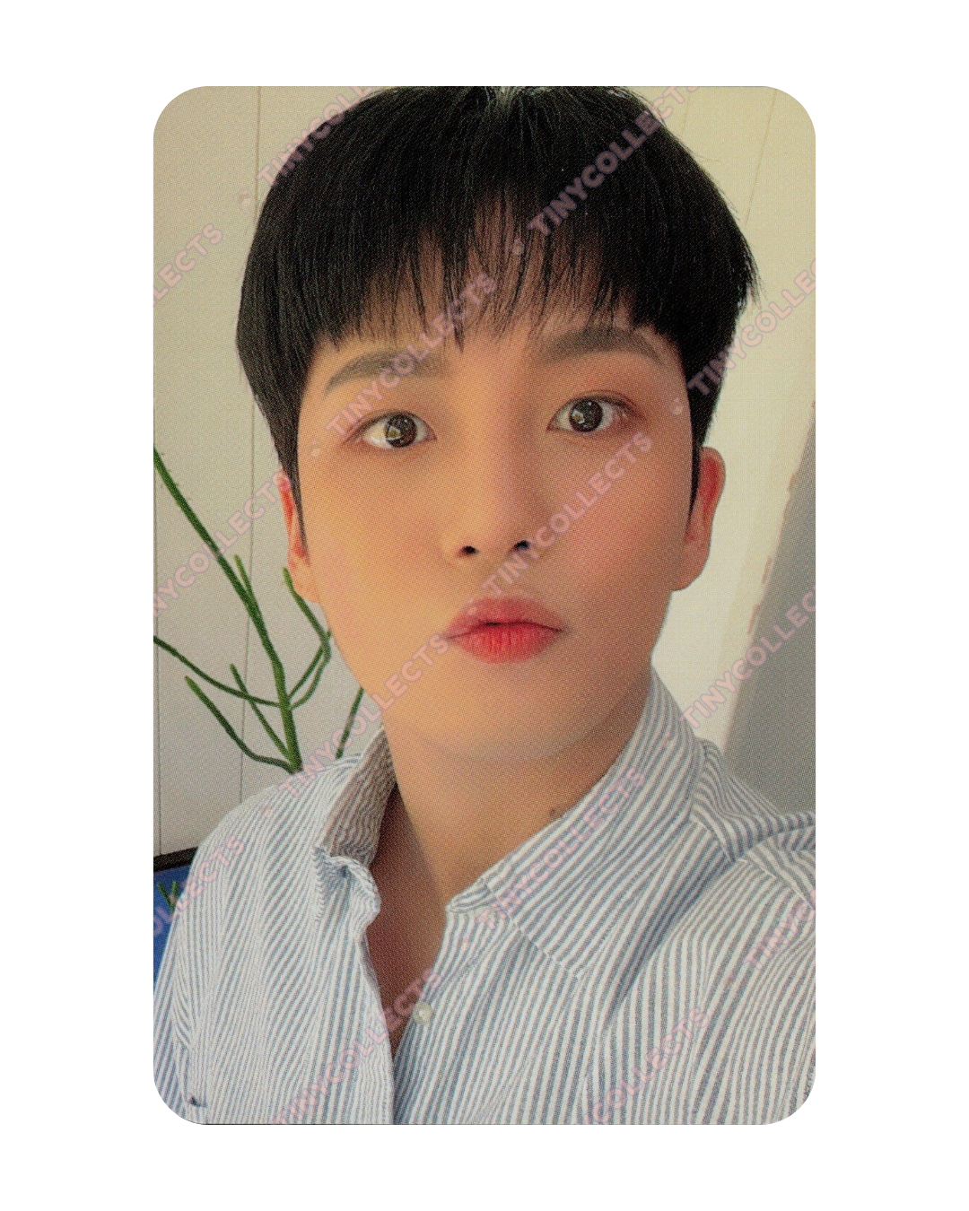 Jongho Trading Card 1 Atiny Room 4th Anniversary ATEEZ