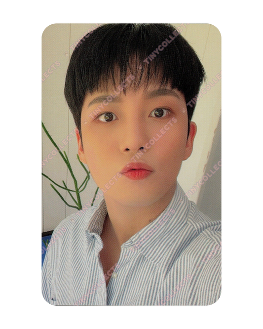 Jongho Trading Card 1 Atiny Room 4th Anniversary ATEEZ