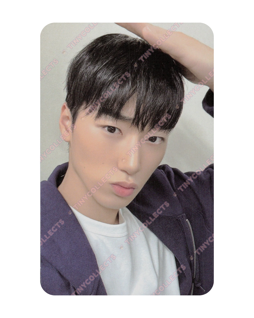 San Trading Card 1 set A 8ROOM 7th Anniversary ATEEZ