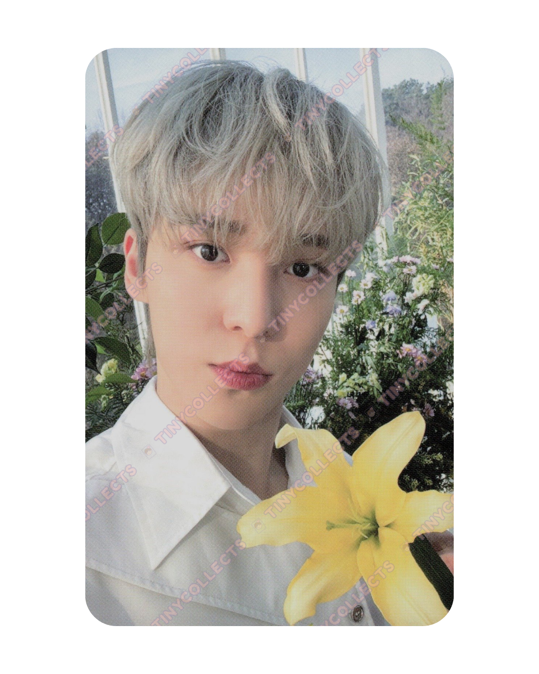 Yunho Nacific 1.1 Flowering Day ver. Photocard ATEEZ collab