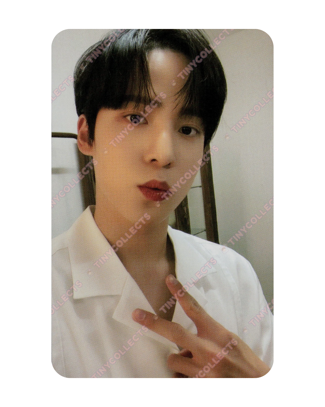 Yunho Mernel 1.2 B type collab benefit ATEEZ