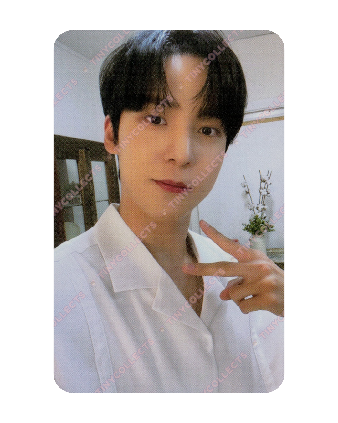 Yunho Mernel 2.1 A type collab benefit ATEEZ