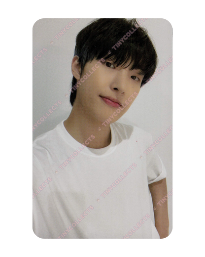 Mingi Mernel 2.1 A type collab benefit ATEEZ