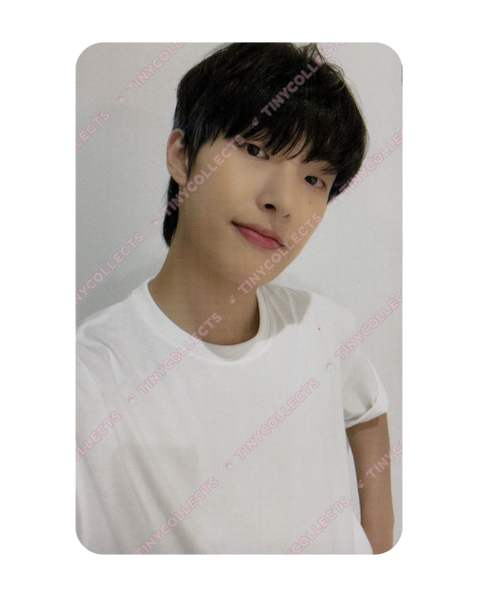 Mingi Mernel 2.1 A type collab benefit ATEEZ